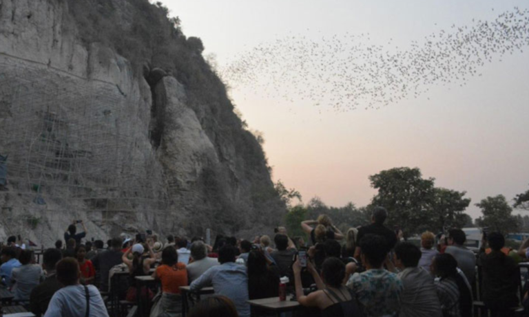 Bat Cave Battambang